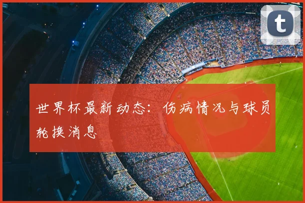 世界杯最新动态:伤病情况与球员轮换消息