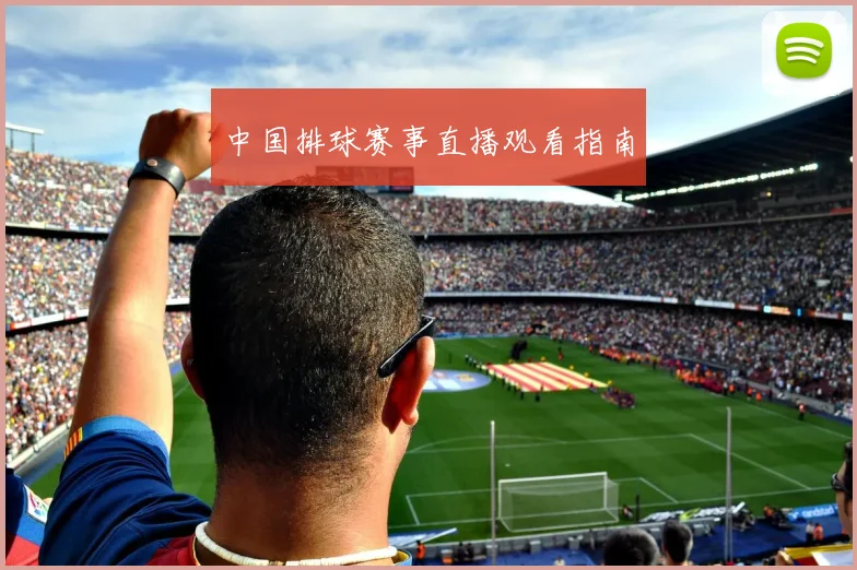 中国排球赛事直播观看指南